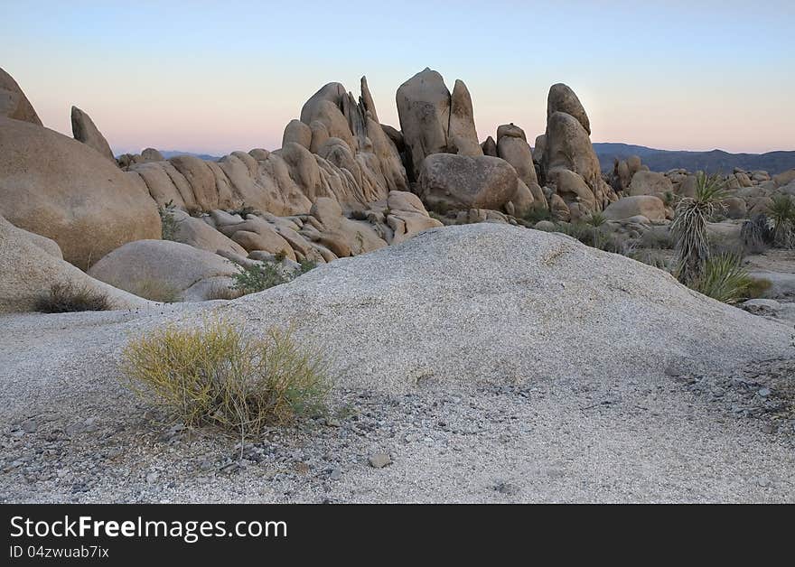 Interesting view of a Joshua Tree vista. Interesting view of a Joshua Tree vista.