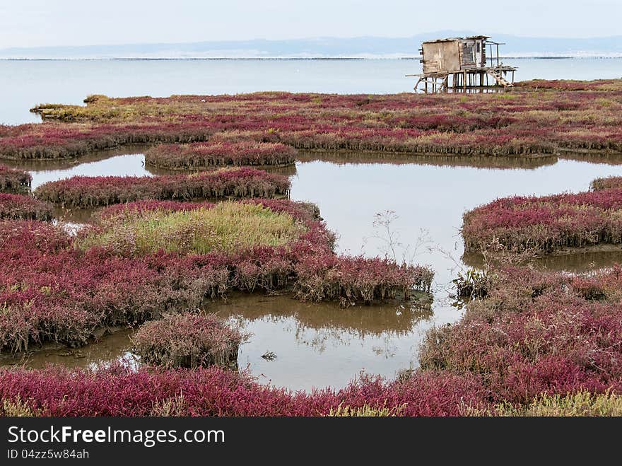 Landscape in Axios Delta, near Thessaloniki, Greece. Axios or Vardaris is the second largest river in the Balkans.