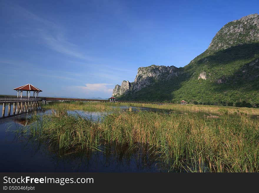 Wooden bridge on the lake in national park