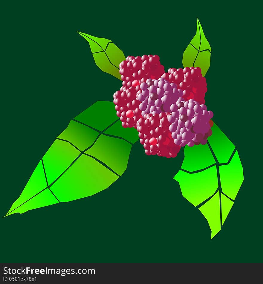 Berries