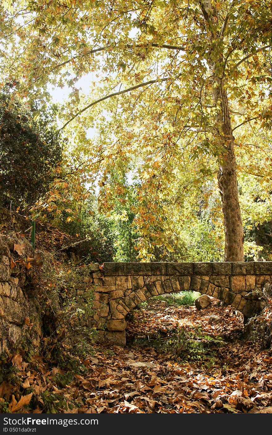 Autumn near jerusalem