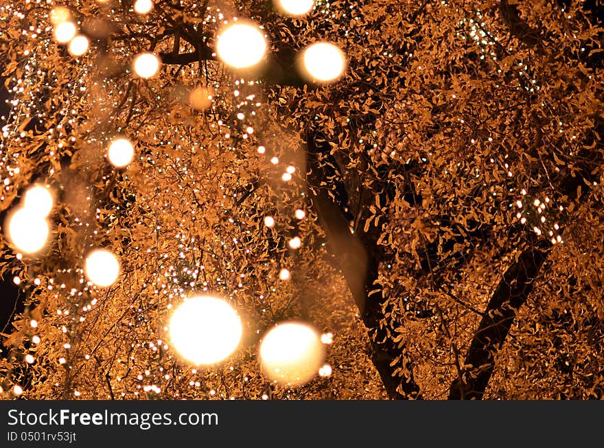 Sparkly bulbs in a tree