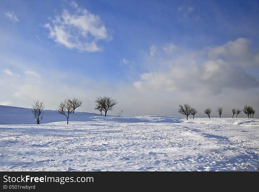 Winter landscape