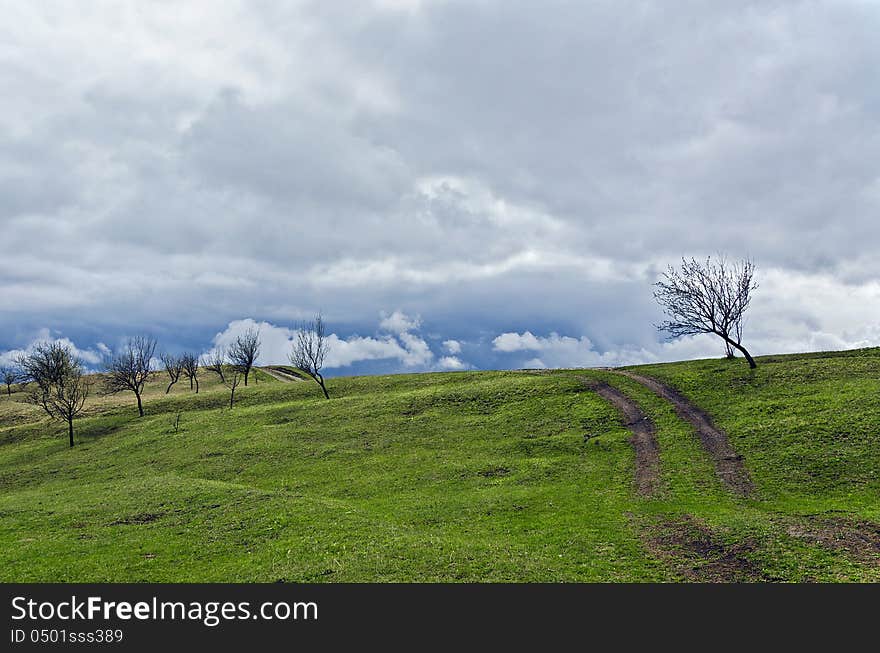 Green hill with naked trees in a cloudy day