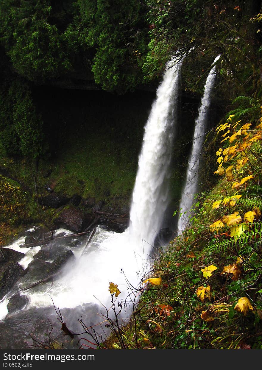 Twin Waterfall cascading over mossy rocks. Captured in Autumn beauty with golden leaves and ferns. Twin Waterfall cascading over mossy rocks. Captured in Autumn beauty with golden leaves and ferns.