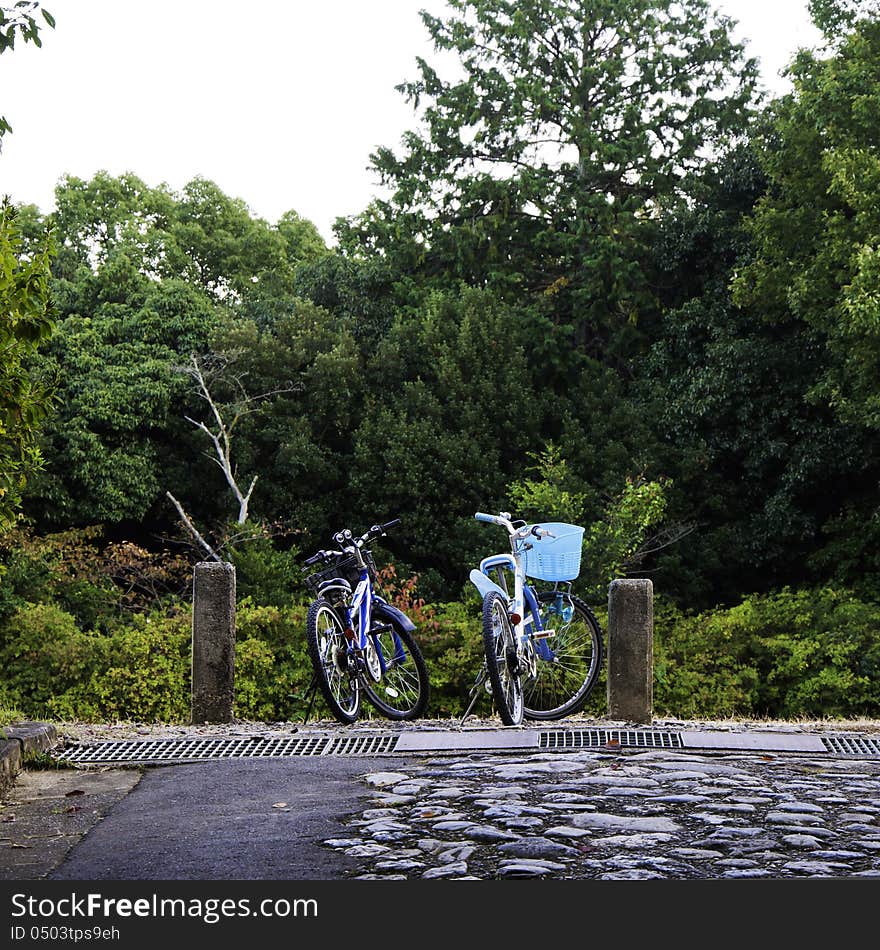 Bicycles of couple in countryside meadows