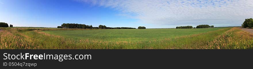 Summer panorama of green field and blue sky.