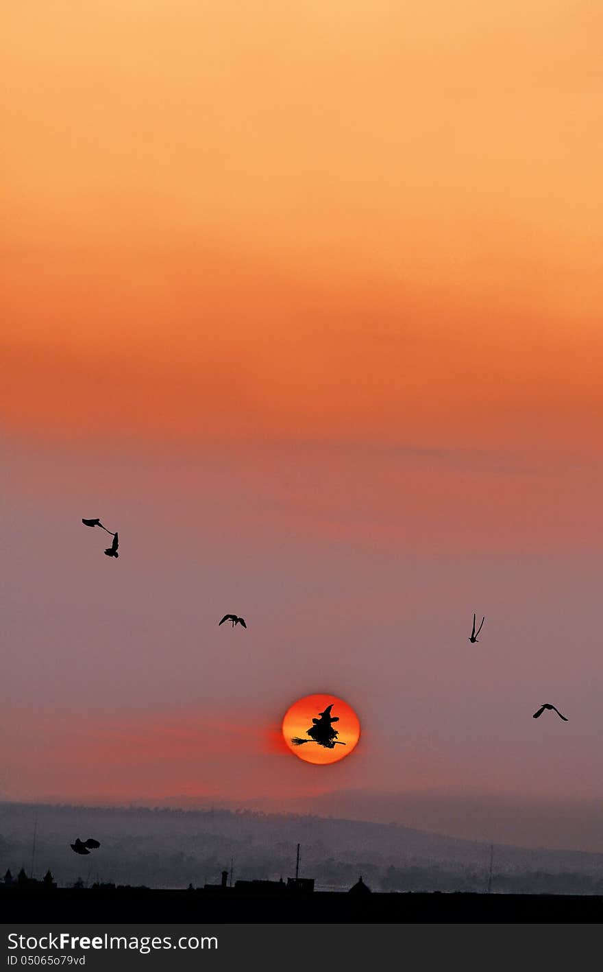 Witch and birds flying at sunset. Witch and birds flying at sunset