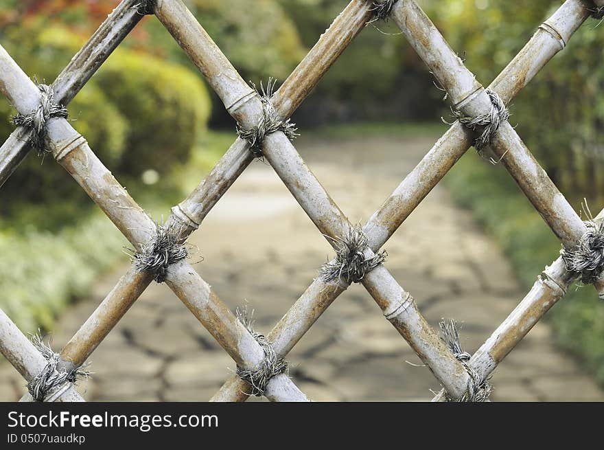 Bamboo fence