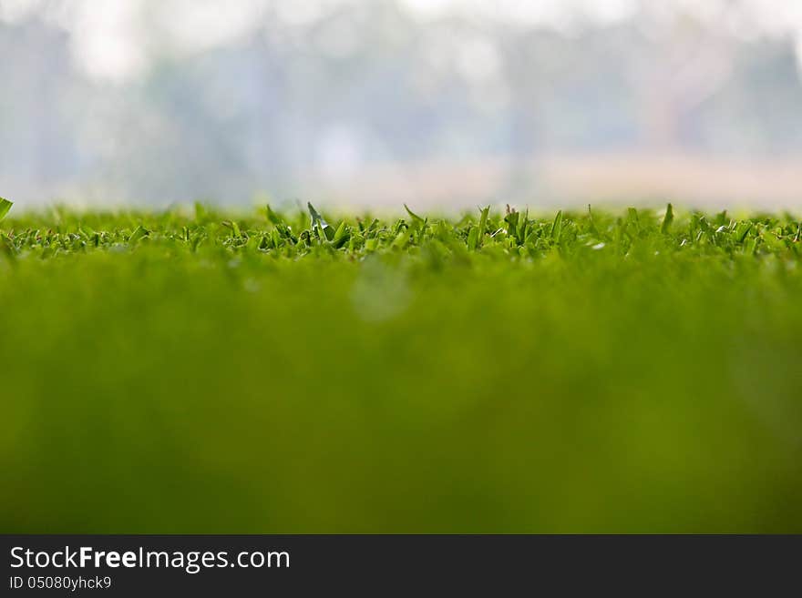 Soft Green And Blue Background Of Grass