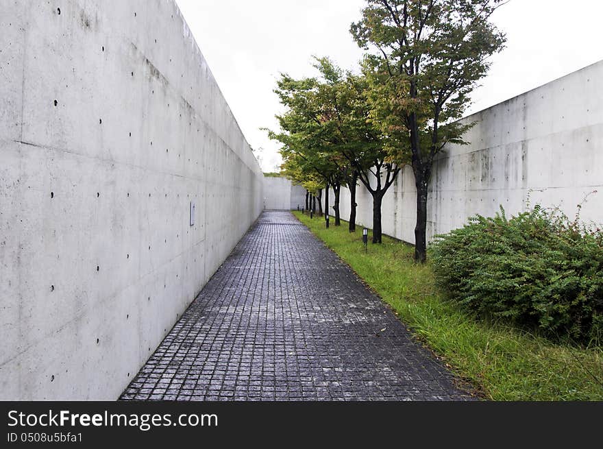 Path with cherry-blossom trees to Architecture, Osaka sayamaike museum, osaka, japan