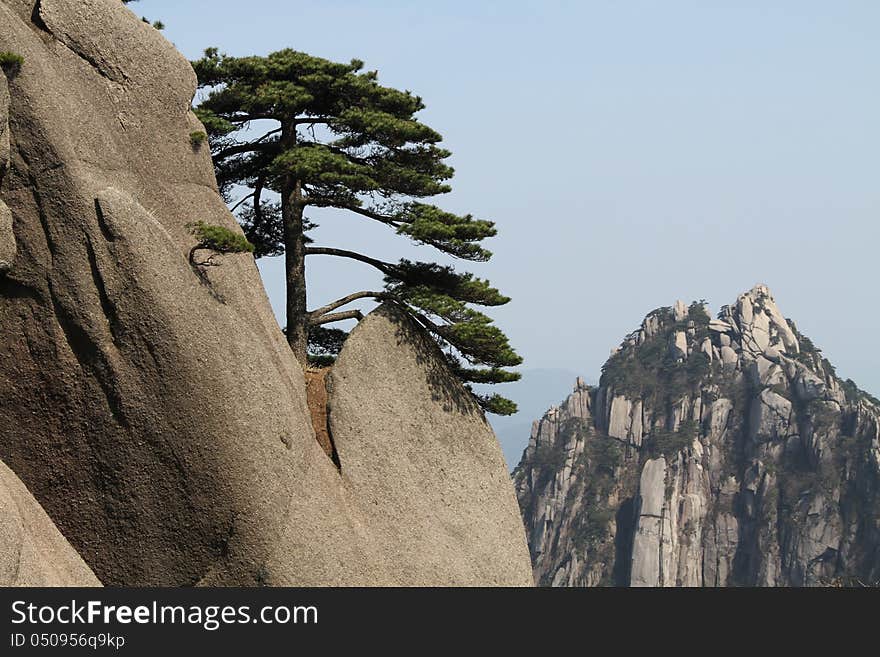 Huangshan Chinese