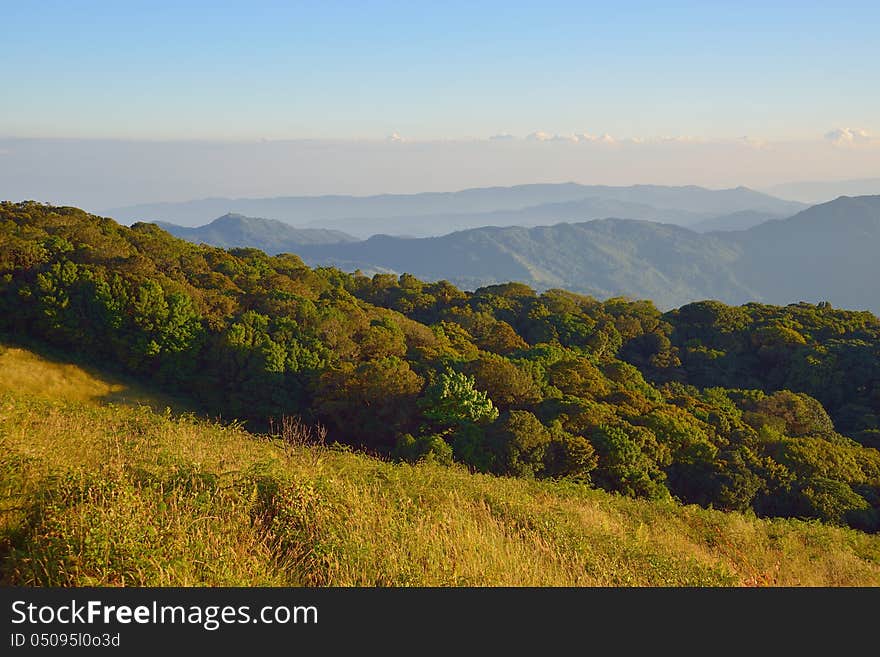 Plentiful forest(mountain landscape north of Thailand)