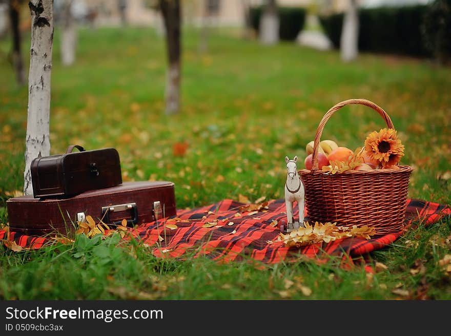 Picnic on a blanket, fruit basket and bags