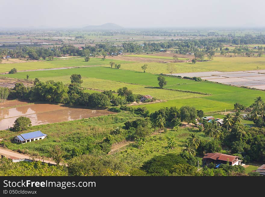 View above the rice farming rural Thailand. View above the rice farming rural Thailand.