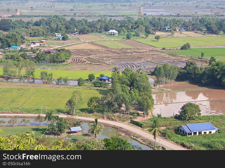 View above the rice farming rural Thailand. View above the rice farming rural Thailand.