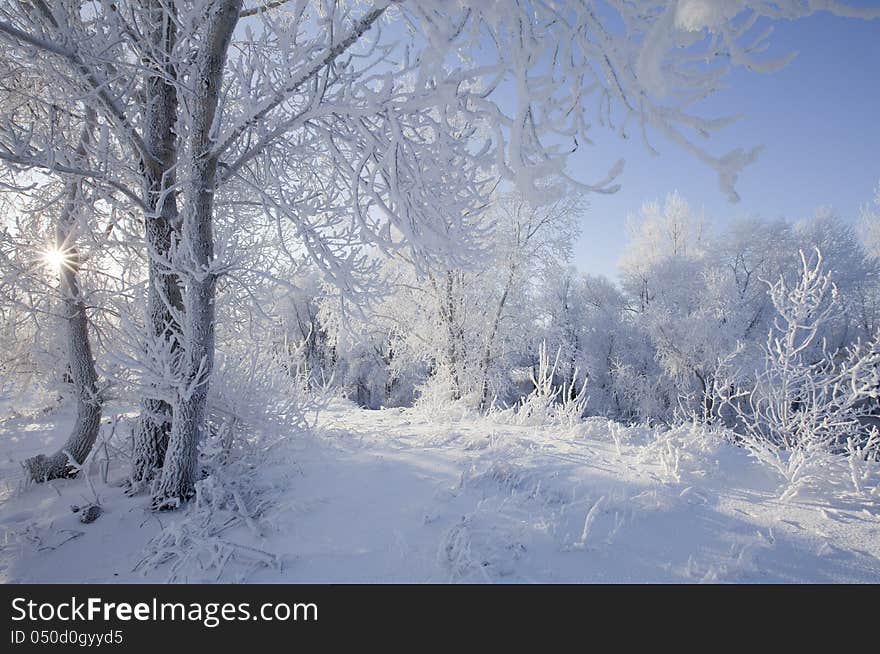 Sunny winter day on the river Kama. Sunny winter day on the river Kama