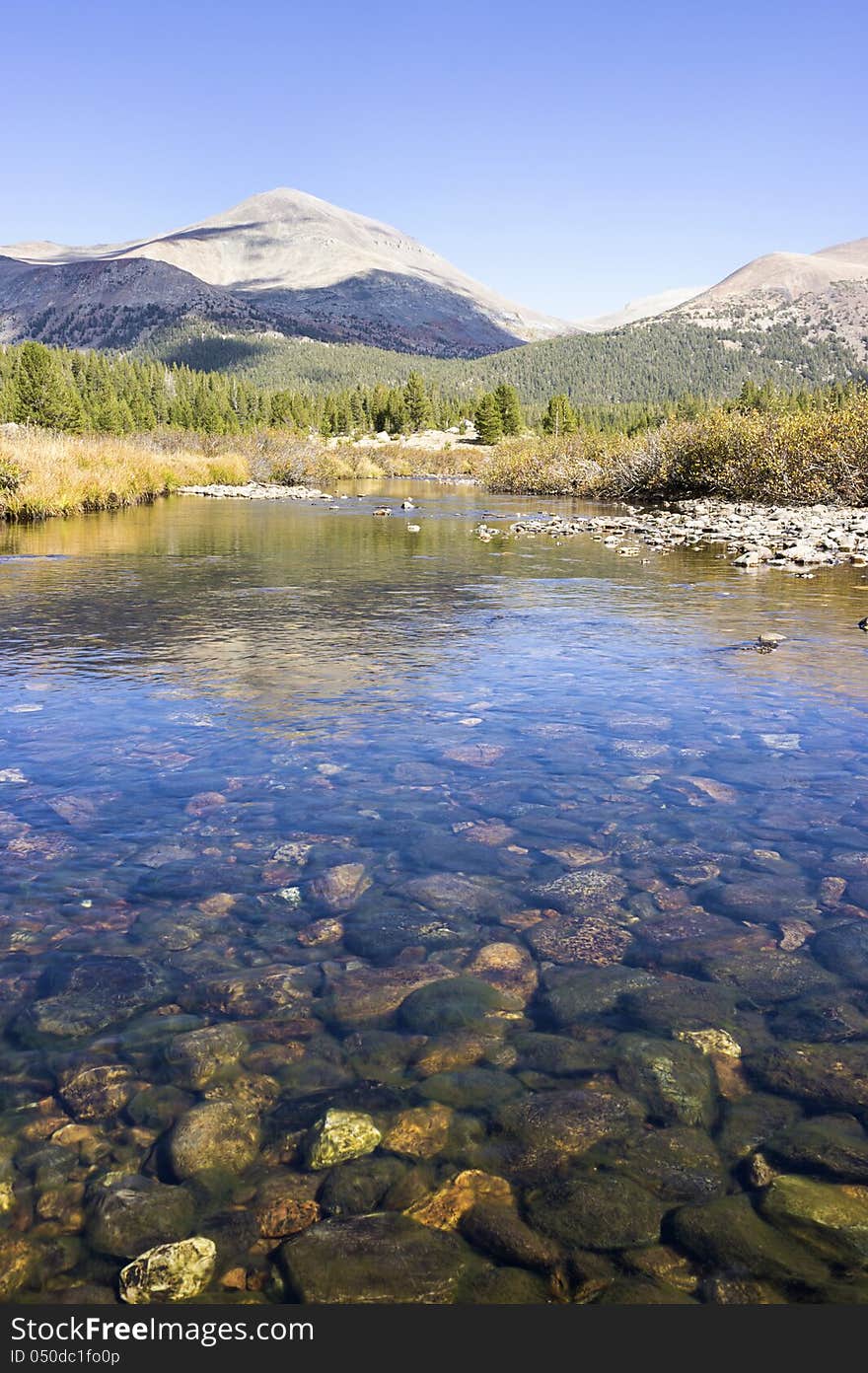 Clenr River In Mountains