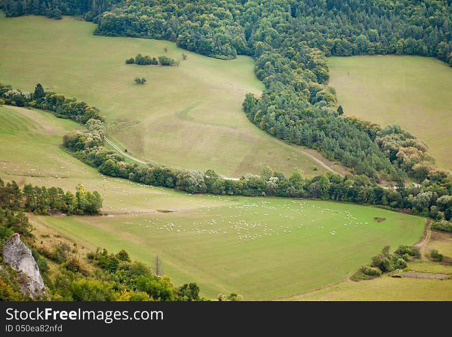 Beautiful autumn landscape in Slovak mountains with sheep on pasture. Beautiful autumn landscape in Slovak mountains with sheep on pasture