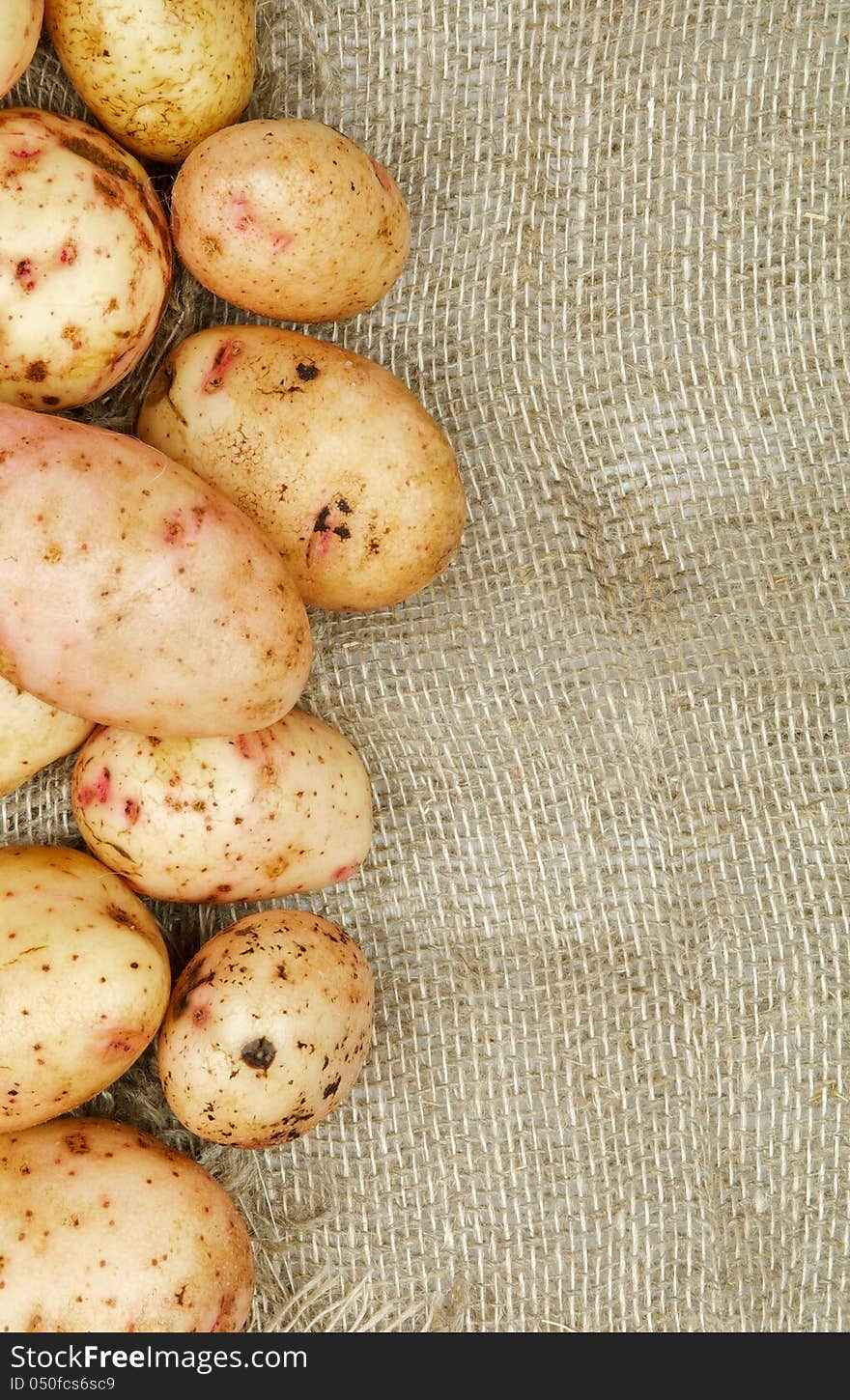 Frame of Raw Potato closeup on Sacking background