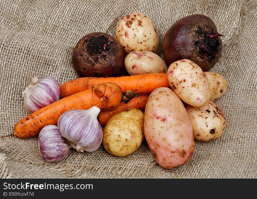 Heap of Raw Carrot, Potato, Beet, Onion and Garlic closeup on Sacking background. Heap of Raw Carrot, Potato, Beet, Onion and Garlic closeup on Sacking background