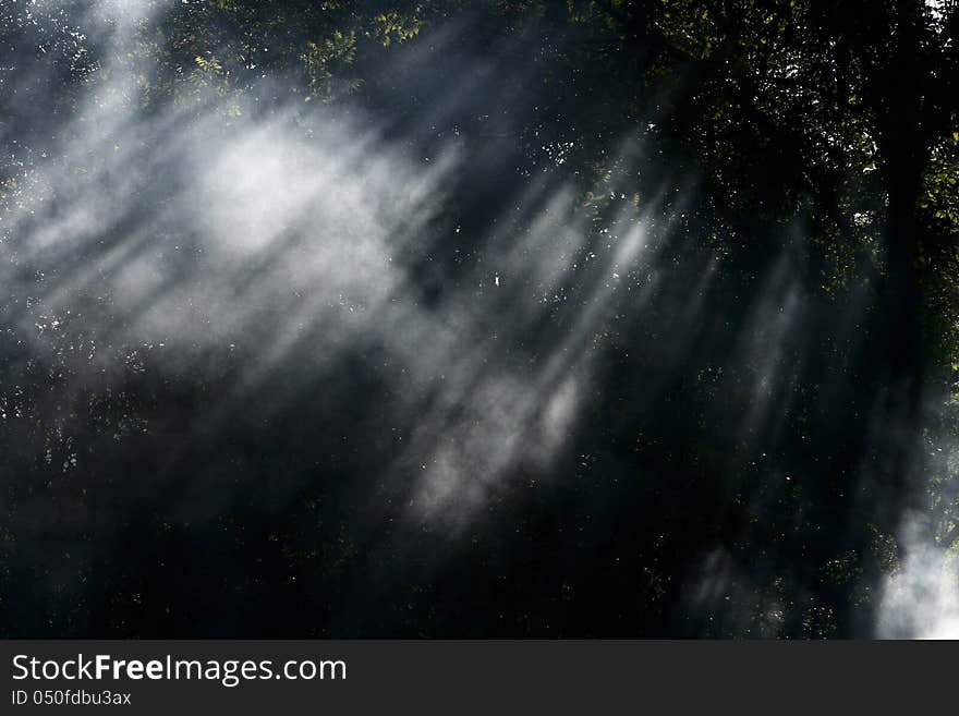 Sun & forest & fog near city Ruzomberok, Slovakia