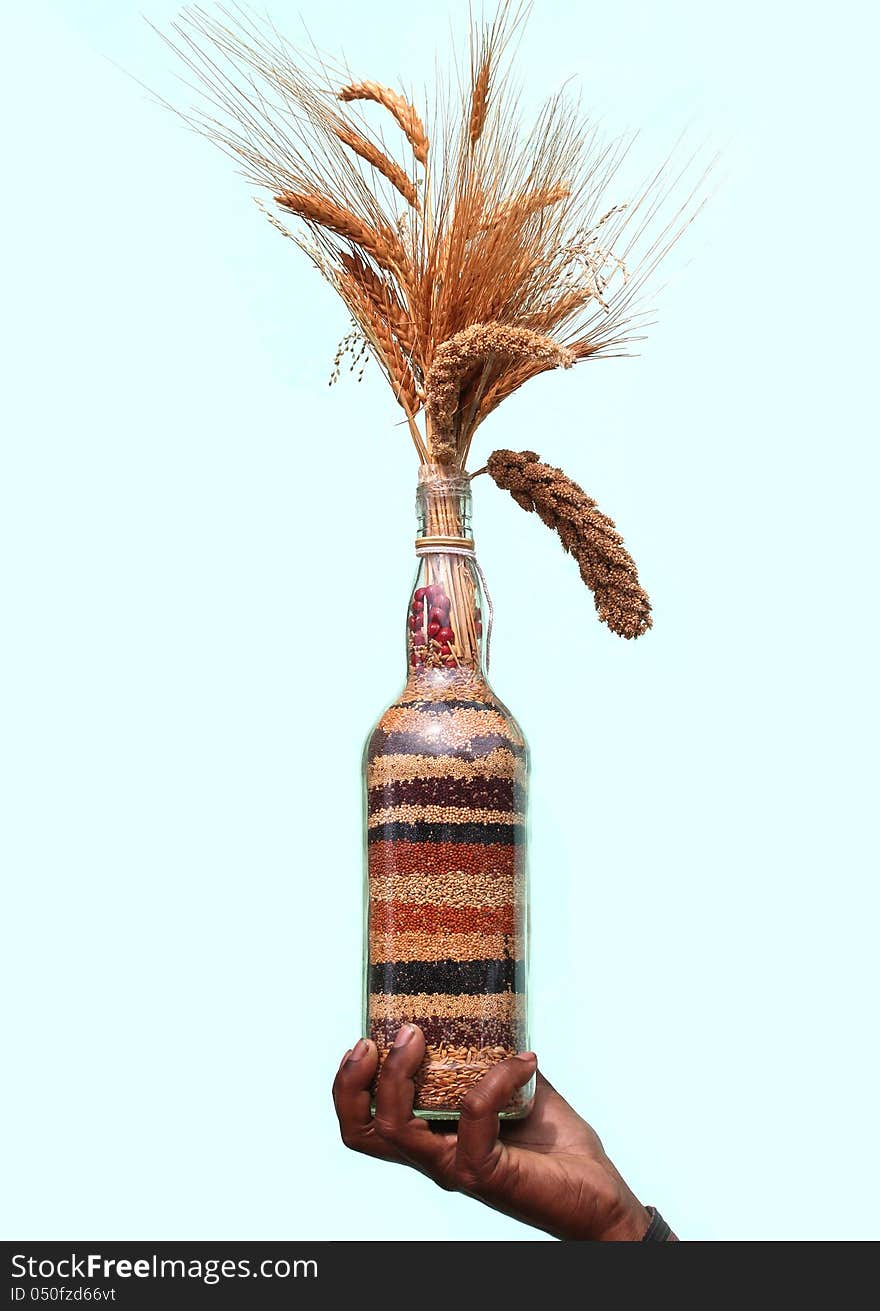 Farmer holding colorful indian millets & cereals in a bottle. The collection contains jowar, ragi, amaranth, wheat and other seeds