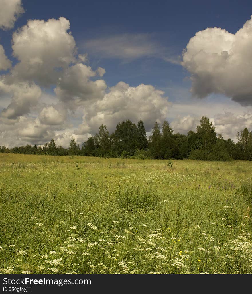 Summer Landscape.