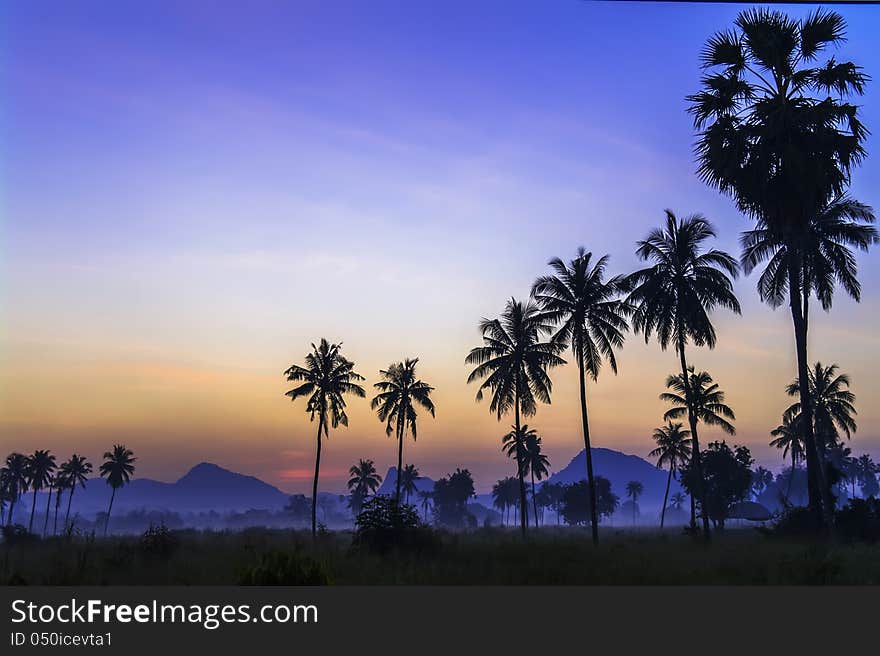 Before the dawn. Chonburi Province, Thailand.