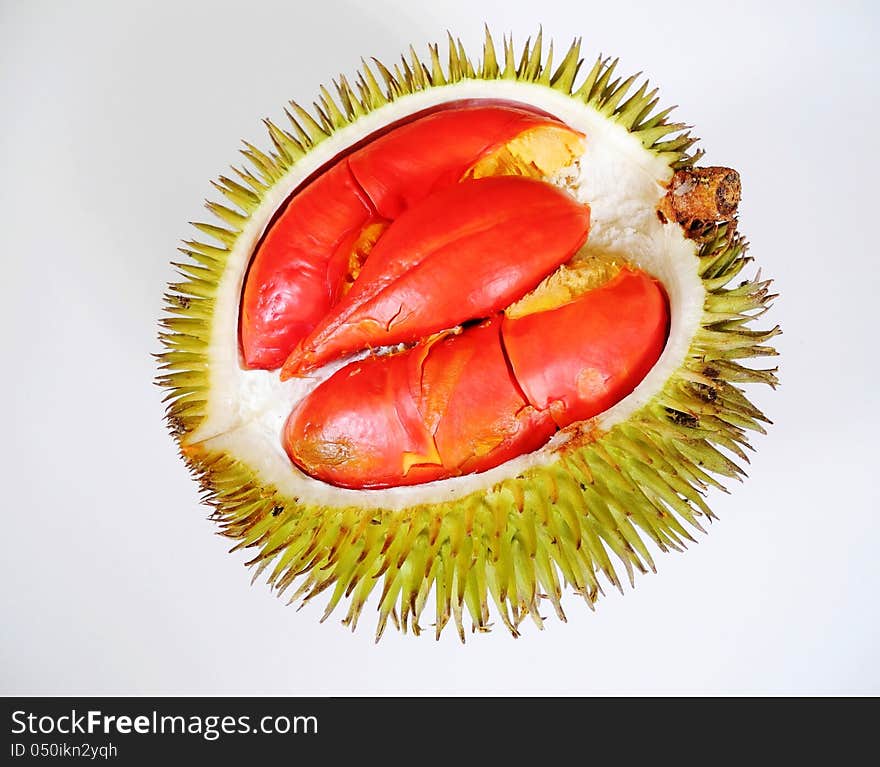 A red durian is also very popular and well-known for its tender and soft seed-pods in Brunei. the seeds are much bigger than the size of a thumb. this fruit also has a thick thorny-skin with its sharp projected spikes all around. there are more seed-pods inside it depending on the size. of course the meat is thick, sweet, soft and delicious. unlike a chocolate bar also, should not be melted in your fingers but in your mouth indeed. some people prefer eating the meat together with plain rice. the trees are also bearing fruits seasonally.