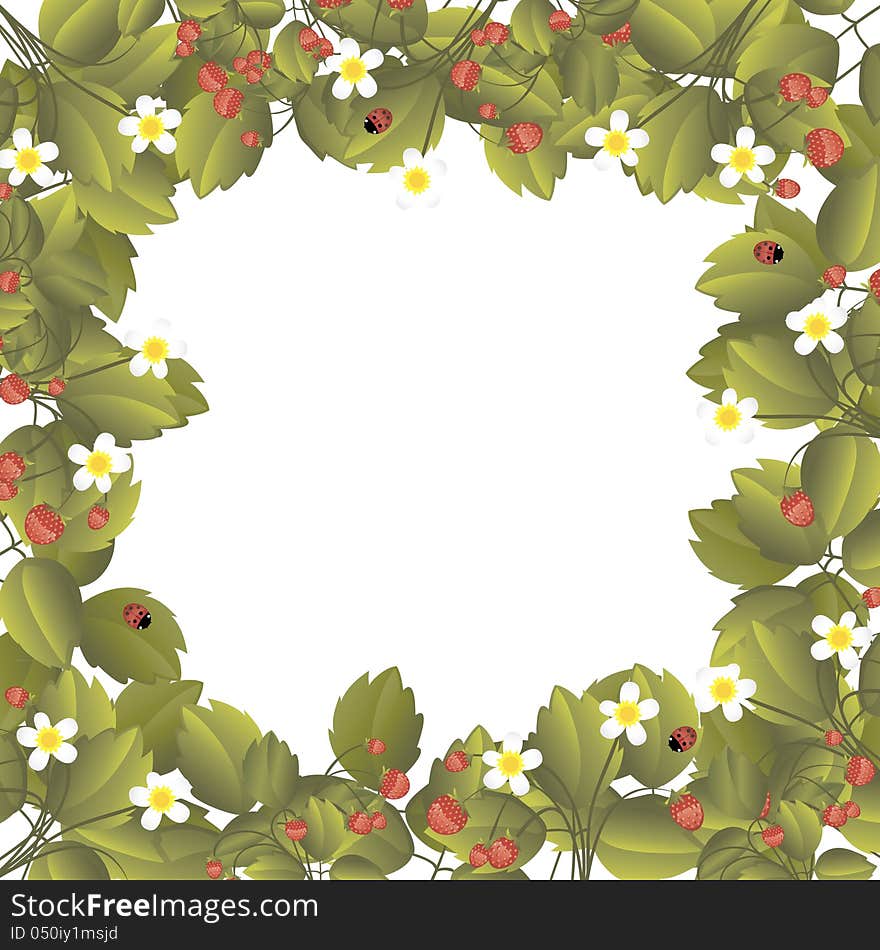 Vector summer background with strawberry