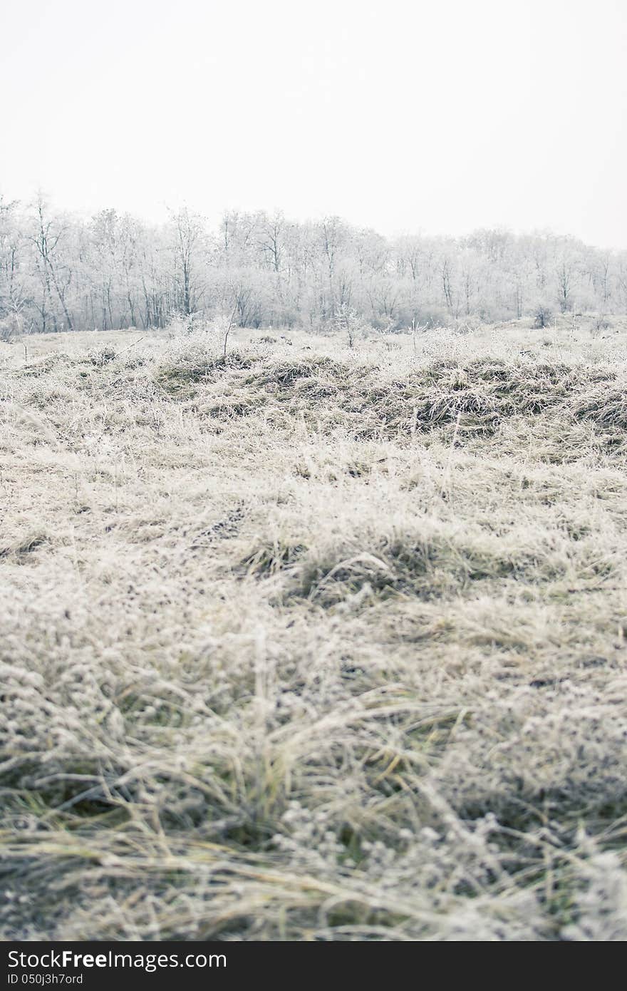 Frozen field