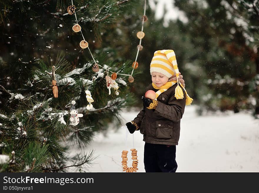 In the forest boy decorates a Christmas tree toys. In the forest boy decorates a Christmas tree toys