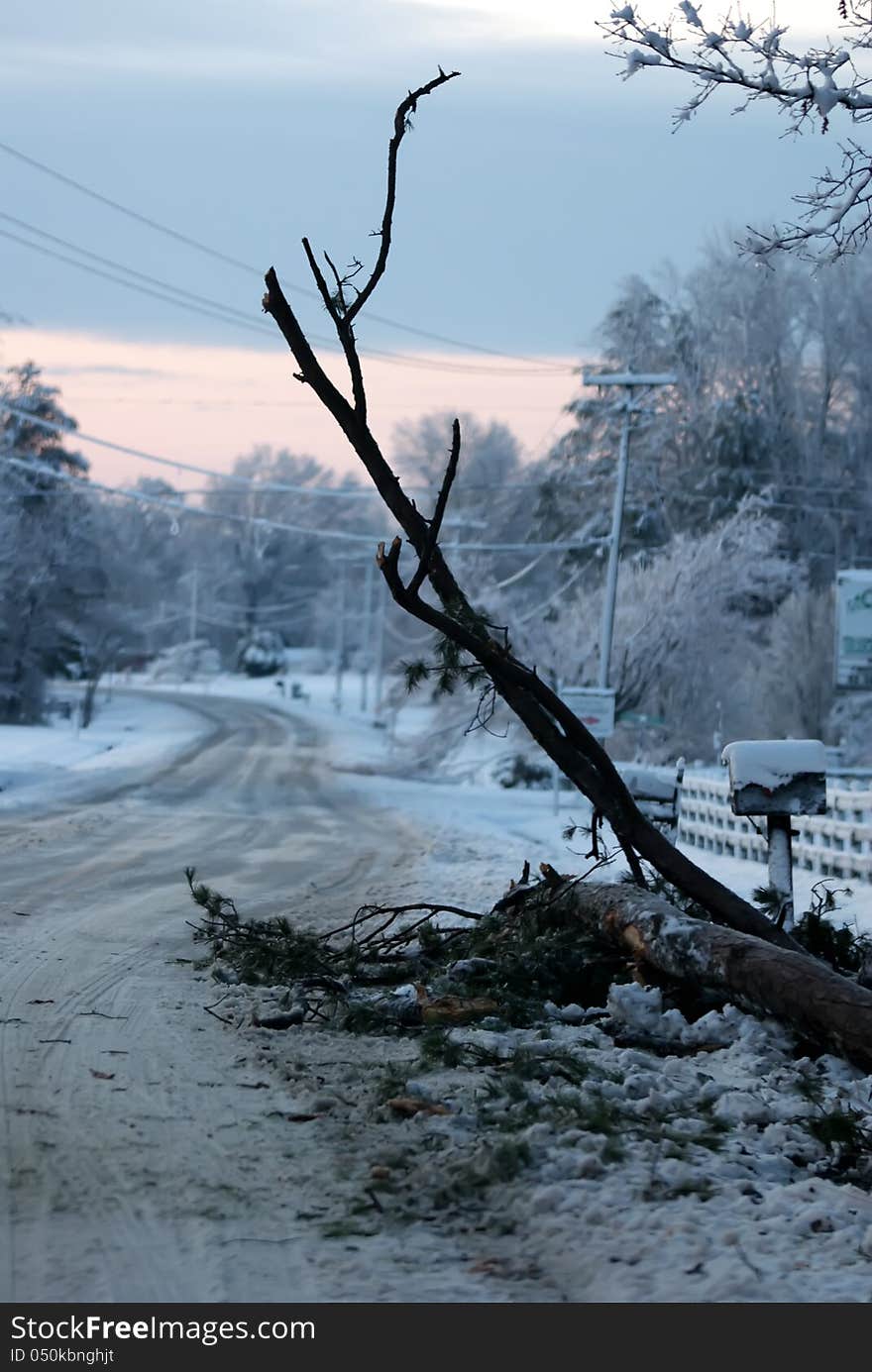 Snow covered road with branches broken on the road