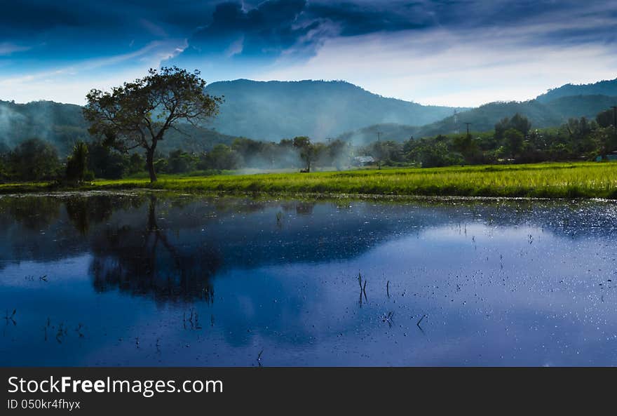 Swamps, fields and the evening sky in three southern border provinces. Swamps, fields and the evening sky in three southern border provinces.