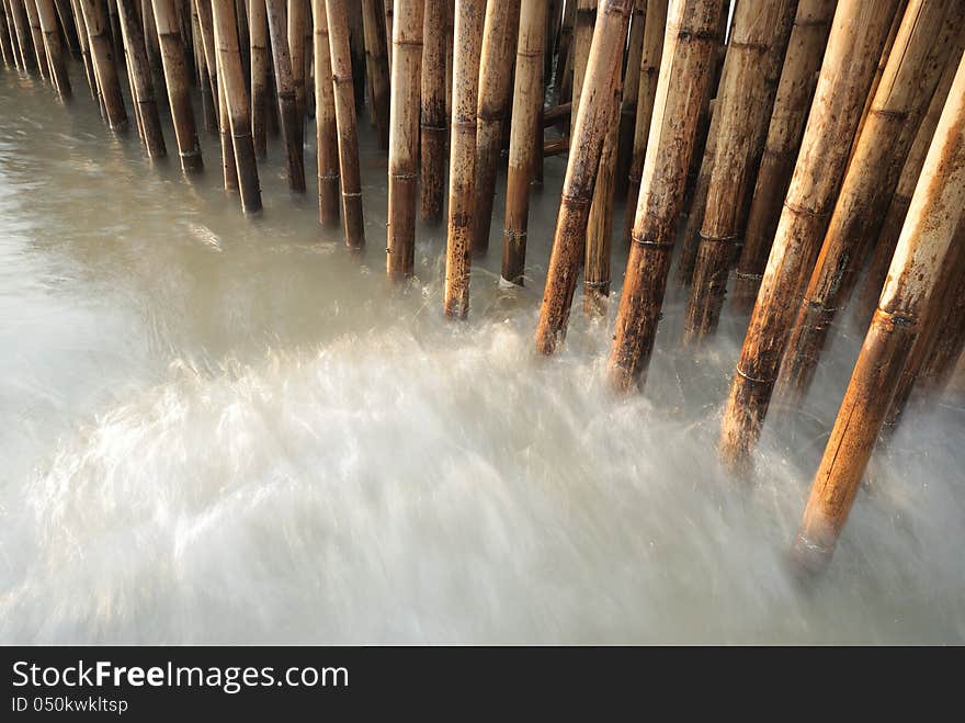 Bamboo fence protect sandbank from sea wave