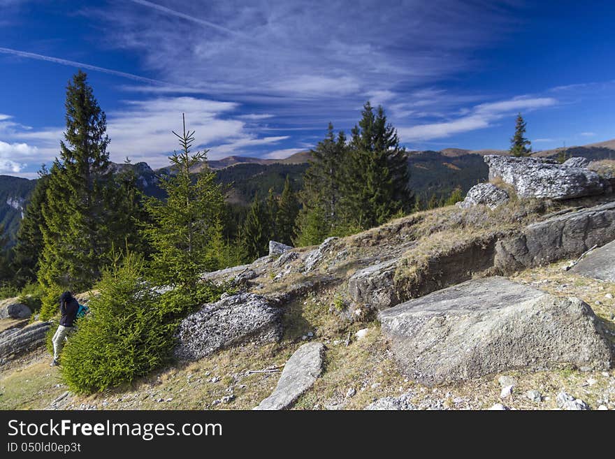 Firs and rocks in sinaia mountains, romania