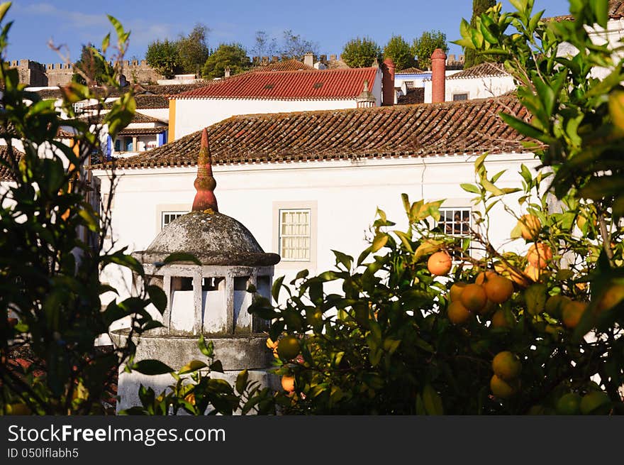 Medieval houses in ancient city of Obidos, Portugal