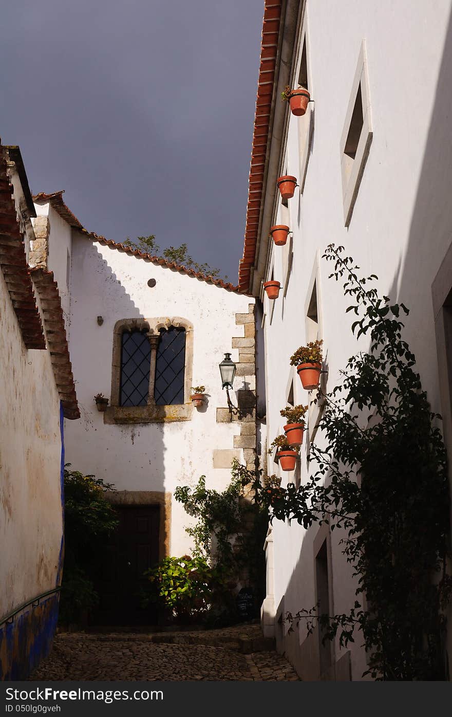 Old beautiful houses in medieval city of Obidos, Portugal with flower pots