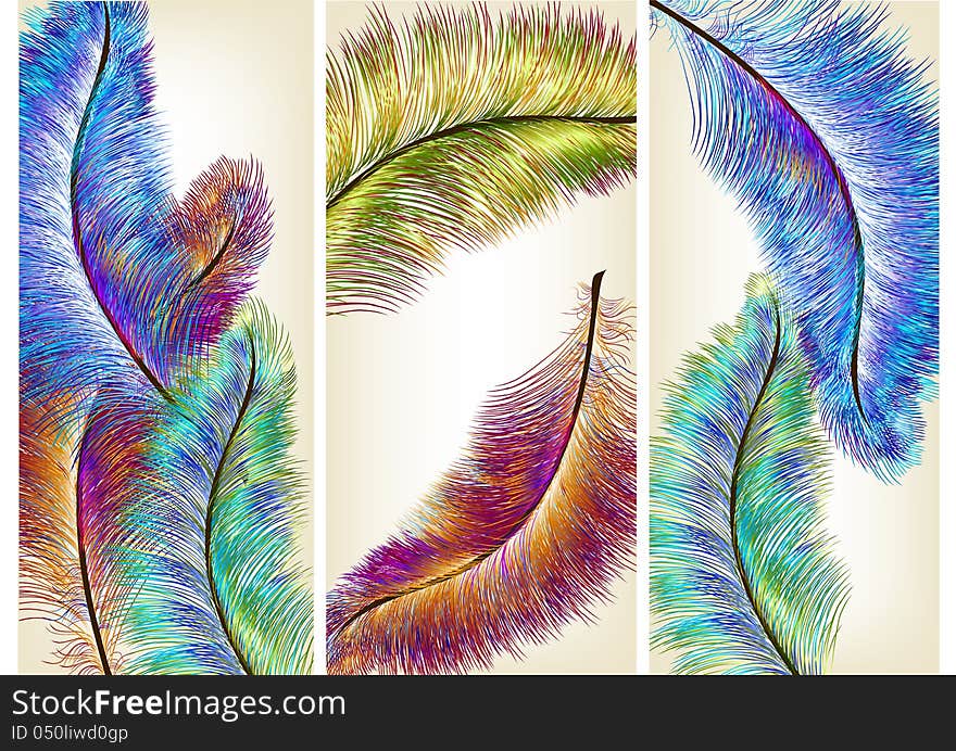 Colorful  ferns for your design. Colorful  ferns for your design