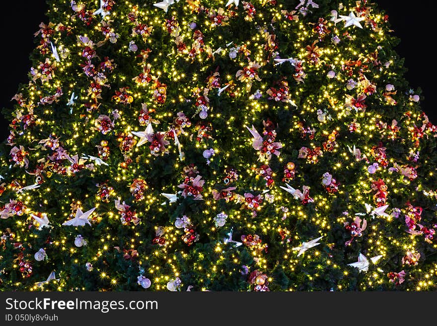 Christmas tree as a background or texture