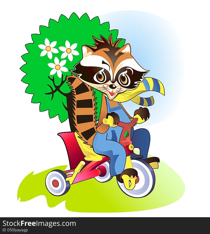 Little raccoon riding in the park on a children's bicycle. Little raccoon riding in the park on a children's bicycle