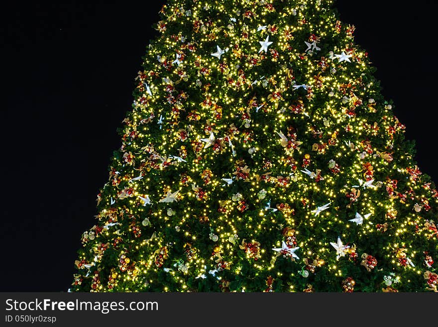 Close up image of christmas tree at night.