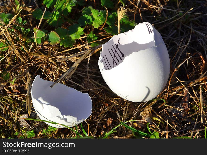 Eggshell after hatching one chick. Eggshell after hatching one chick