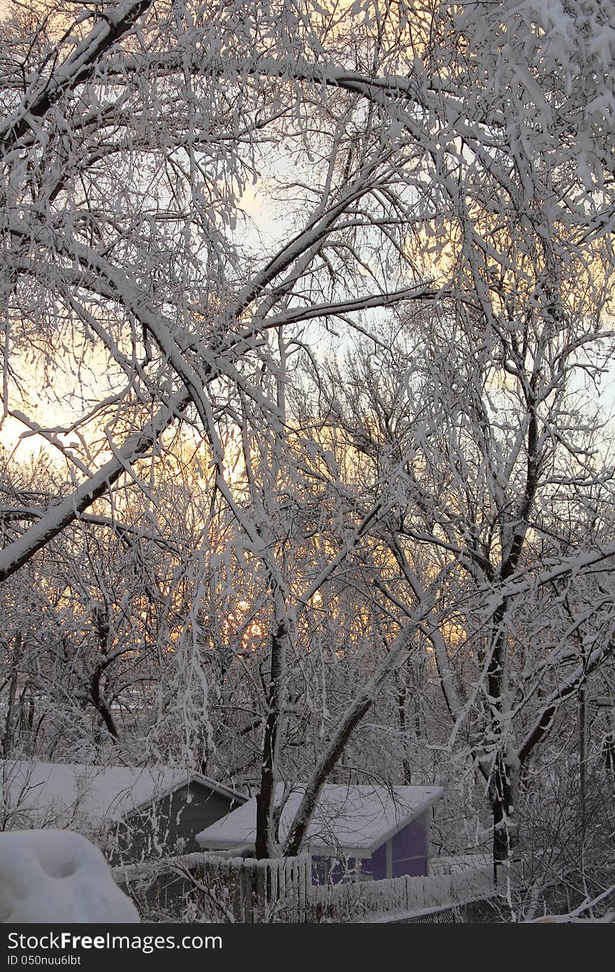 Winter Snowfall