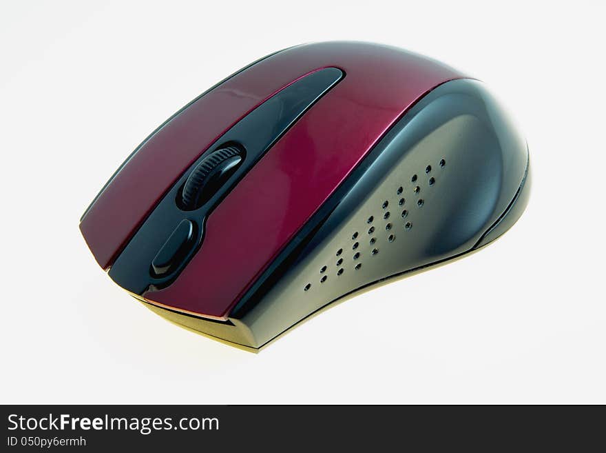 Computer mouse on a white background