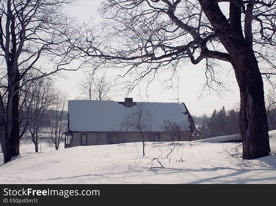 Small house in the cold winter behind the tree. Small house in the cold winter behind the tree