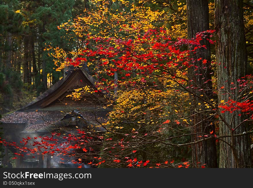 Buddhist Temple in the fall. Buddhist Temple in the fall.