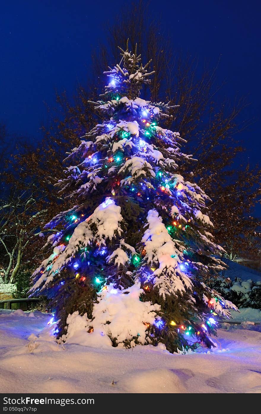 Snowy Tree lit for Christmas