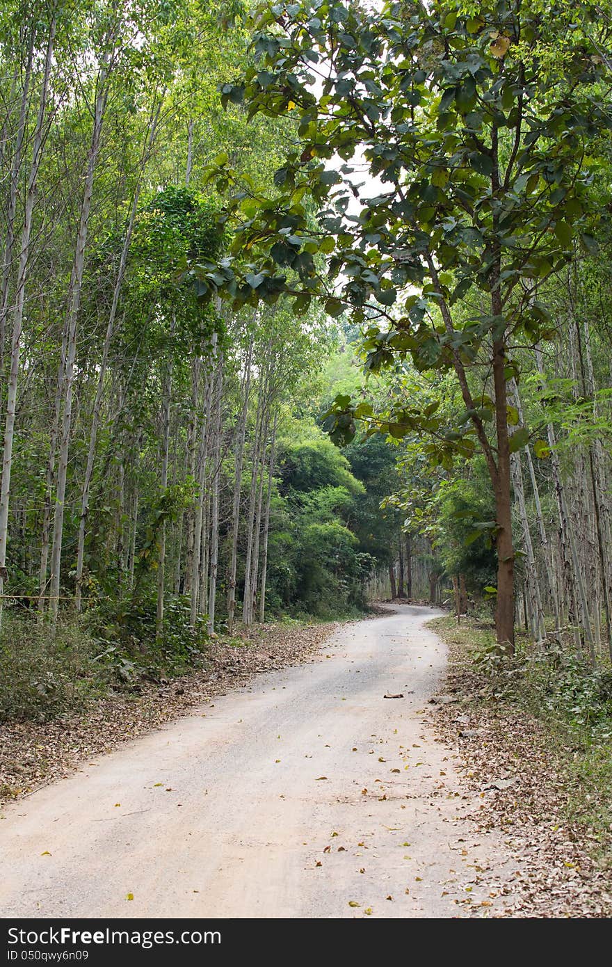 Country road